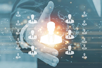 tang traffic website